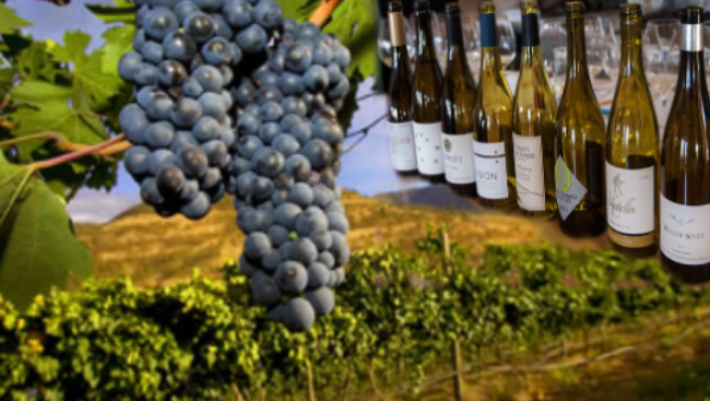 Oregon Wineries are known for their Pinot Noirs