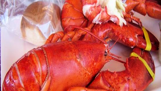 Always Fresh Lobster